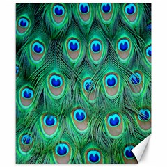 Feather, Bird, Pattern, Peacock, Texture Canvas 8  X 10  by nateshop