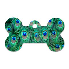 Feather, Bird, Pattern, Peacock, Texture Dog Tag Bone (one Side) by nateshop