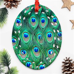 Feather, Bird, Pattern, Peacock, Texture Ornament (oval Filigree) by nateshop