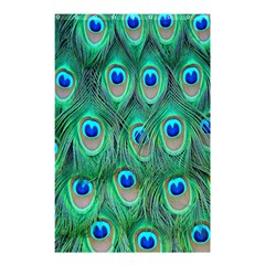 Feather, Bird, Pattern, Peacock, Texture Shower Curtain 48  X 72  (small)  by nateshop