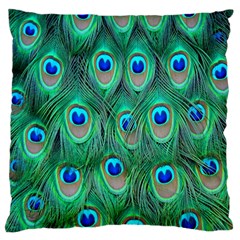 Feather, Bird, Pattern, Peacock, Texture Large Cushion Case (one Side) by nateshop