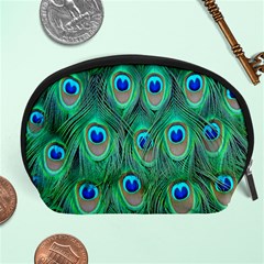 Feather, Bird, Pattern, Peacock, Texture Accessory Pouch (large) by nateshop