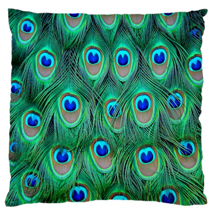 Feather, Bird, Pattern, Peacock, Texture Large Cushion Case (Two Sides)