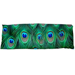 Feather, Bird, Pattern, Peacock, Texture Body Pillow Case Dakimakura (two Sides) by nateshop