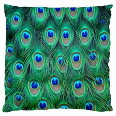 Feather, Bird, Pattern, Peacock, Texture Large Premium Plush Fleece Cushion Case (one Side) by nateshop