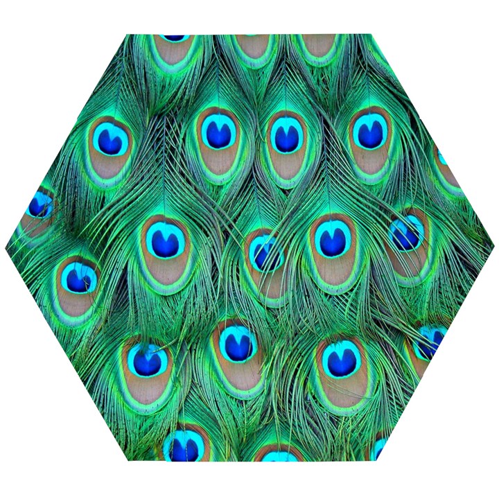 Feather, Bird, Pattern, Peacock, Texture Wooden Puzzle Hexagon