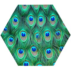 Feather, Bird, Pattern, Peacock, Texture Wooden Puzzle Hexagon by nateshop