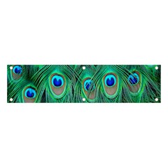 Feather, Bird, Pattern, Peacock, Texture Banner And Sign 4  X 1  by nateshop