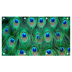 Feather, Bird, Pattern, Peacock, Texture Banner And Sign 7  X 4 