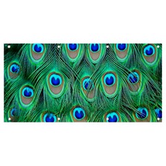 Feather, Bird, Pattern, Peacock, Texture Banner And Sign 8  X 4  by nateshop