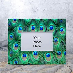 Feather, Bird, Pattern, Peacock, Texture White Tabletop Photo Frame 4 x6  by nateshop