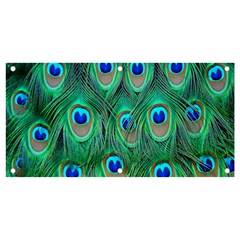 Feather, Bird, Pattern, Peacock, Texture Banner And Sign 4  X 2  by nateshop