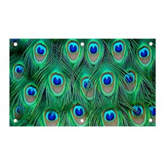 Feather, Bird, Pattern, Peacock, Texture Banner And Sign 5  X 3  by nateshop