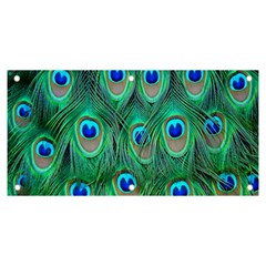 Feather, Bird, Pattern, Peacock, Texture Banner And Sign 6  X 3  by nateshop