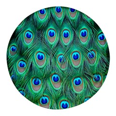 Feather, Bird, Pattern, Peacock, Texture Round Glass Fridge Magnet (4 Pack)