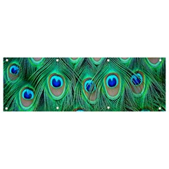 Feather, Bird, Pattern, Peacock, Texture Banner And Sign 9  X 3  by nateshop