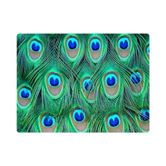 Feather, Bird, Pattern, Peacock, Texture Premium Plush Fleece Blanket (mini) by nateshop