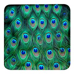 Feather, Bird, Pattern, Peacock, Texture Square Glass Fridge Magnet (4 Pack) by nateshop