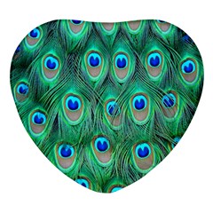 Feather, Bird, Pattern, Peacock, Texture Heart Glass Fridge Magnet (4 Pack) by nateshop