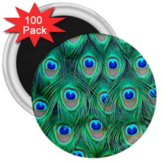 Peacock Feathers, Bonito, Bird, Blue, Colorful, Feathers 3  Magnets (100 Pack) by nateshop