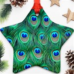 Peacock Feathers, Bonito, Bird, Blue, Colorful, Feathers Ornament (Star) Front