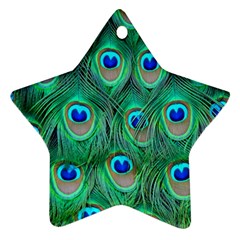 Peacock Feathers, Bonito, Bird, Blue, Colorful, Feathers Ornament (star)