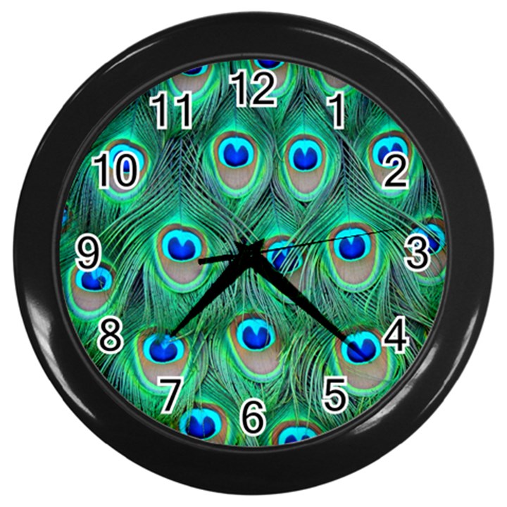 Peacock Feathers, Bonito, Bird, Blue, Colorful, Feathers Wall Clock (Black)