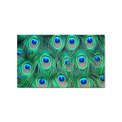 Peacock Feathers, Bonito, Bird, Blue, Colorful, Feathers Sticker Rectangular (100 Pack) by nateshop