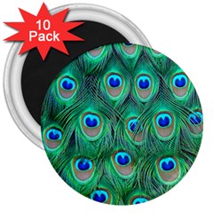 Peacock Feathers, Bonito, Bird, Blue, Colorful, Feathers 3  Magnets (10 Pack)  by nateshop