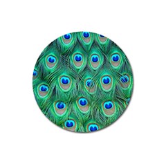 Peacock Feathers, Bonito, Bird, Blue, Colorful, Feathers Magnet 3  (round) by nateshop