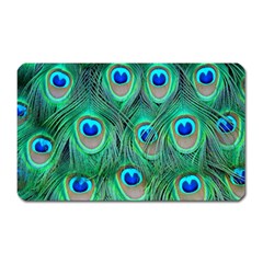 Peacock Feathers, Bonito, Bird, Blue, Colorful, Feathers Magnet (rectangular) by nateshop