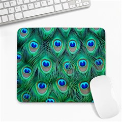 Peacock Feathers, Bonito, Bird, Blue, Colorful, Feathers Large Mousepad by nateshop