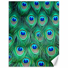 Peacock Feathers, Bonito, Bird, Blue, Colorful, Feathers Canvas 18  X 24 