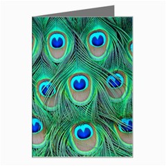 Peacock Feathers, Bonito, Bird, Blue, Colorful, Feathers Greeting Card by nateshop