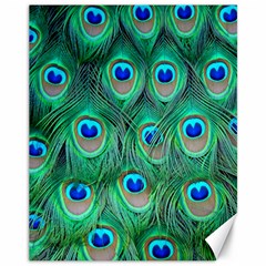 Peacock Feathers, Bonito, Bird, Blue, Colorful, Feathers Canvas 11  X 14  by nateshop