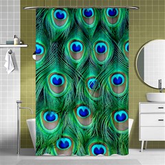 Peacock Feathers, Bonito, Bird, Blue, Colorful, Feathers Shower Curtain 48  X 72  (small)  by nateshop