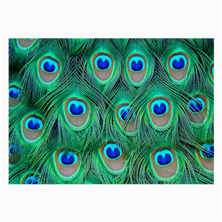 Peacock Feathers, Bonito, Bird, Blue, Colorful, Feathers Large Glasses Cloth