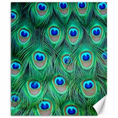 Peacock Feathers, Bonito, Bird, Blue, Colorful, Feathers Canvas 20  X 24  by nateshop