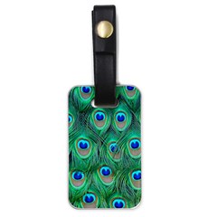 Peacock Feathers, Bonito, Bird, Blue, Colorful, Feathers Luggage Tag (one Side) by nateshop