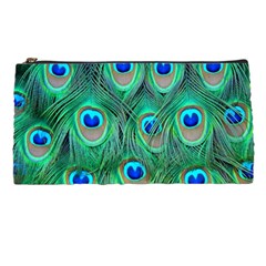 Peacock Feathers, Bonito, Bird, Blue, Colorful, Feathers Pencil Case by nateshop