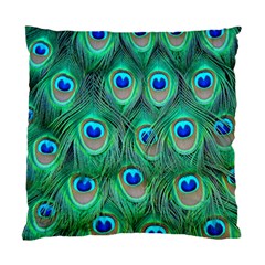 Peacock Feathers, Bonito, Bird, Blue, Colorful, Feathers Standard Cushion Case (two Sides) by nateshop