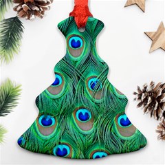 Peacock Feathers, Bonito, Bird, Blue, Colorful, Feathers Ornament (christmas Tree)  by nateshop