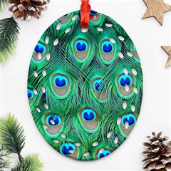 Peacock Feathers, Bonito, Bird, Blue, Colorful, Feathers Ornament (oval Filigree) by nateshop