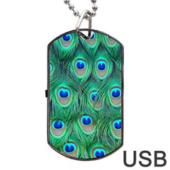 Peacock Feathers, Bonito, Bird, Blue, Colorful, Feathers Dog Tag Usb Flash (two Sides) by nateshop