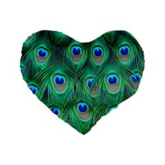 Peacock Feathers, Bonito, Bird, Blue, Colorful, Feathers Standard 16  Premium Heart Shape Cushions by nateshop