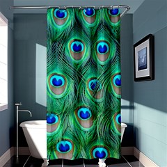 Peacock Feathers, Bonito, Bird, Blue, Colorful, Feathers Shower Curtain 36  X 72  (stall)  by nateshop