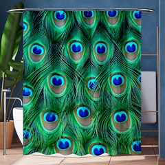 Peacock Feathers, Bonito, Bird, Blue, Colorful, Feathers Shower Curtain 60  X 72  (medium)  by nateshop