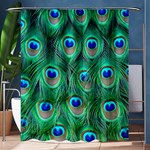 Peacock Feathers, Bonito, Bird, Blue, Colorful, Feathers Shower Curtain 60  x 72  (Medium)  60 x72  Curtain