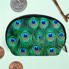 Peacock Feathers, Bonito, Bird, Blue, Colorful, Feathers Accessory Pouch (large) by nateshop