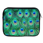 Peacock Feathers, Bonito, Bird, Blue, Colorful, Feathers Apple iPad 2/3/4 Zipper Cases Front